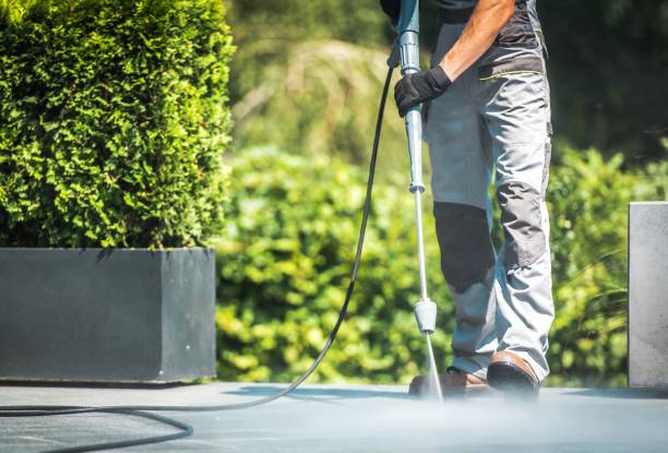 Best Roof Washing  in South Barre, VT
