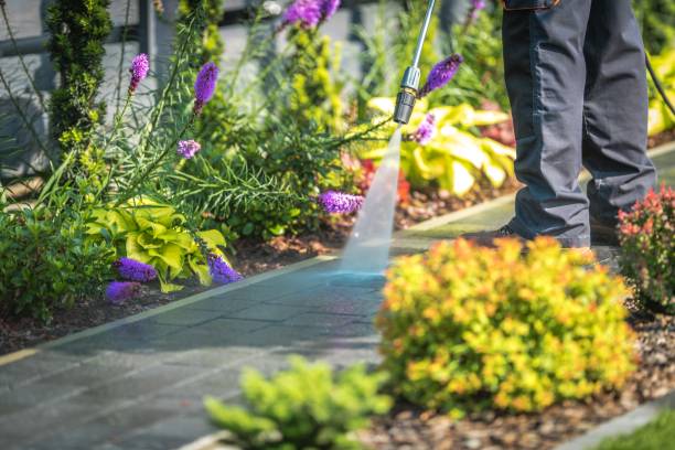 Best Winterizing Services  in South Barre, VT