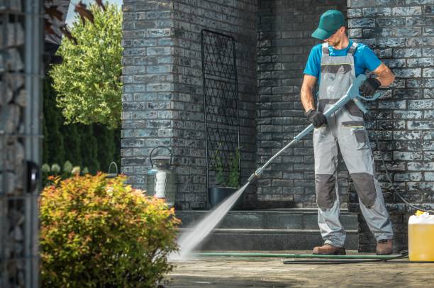 Animal Enclosure Cleaning in South Barre, VT