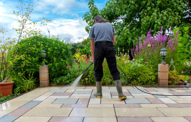 Best Driveway Pressure Washing  in South Barre, VT